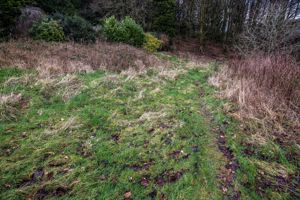 Entrance view- click for photo gallery